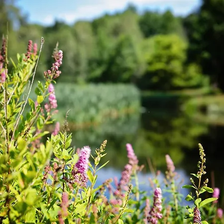 Ferienparadies Muehlenbach 졸타우