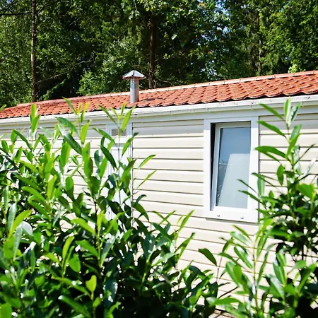 Ferienparadies Muehlenbach 게스트하우스