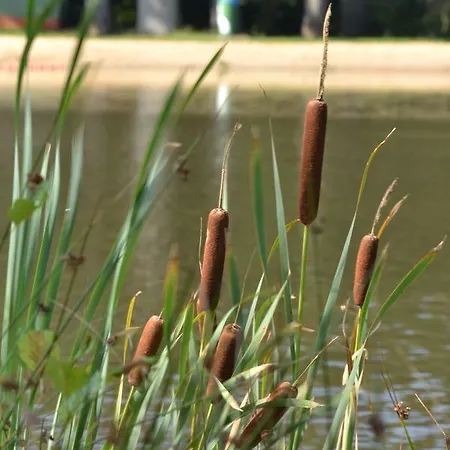 Ferienparadies Mühlenbach 3* Soltau