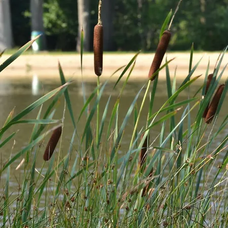 게스트하우스 Ferienparadies Muehlenbach