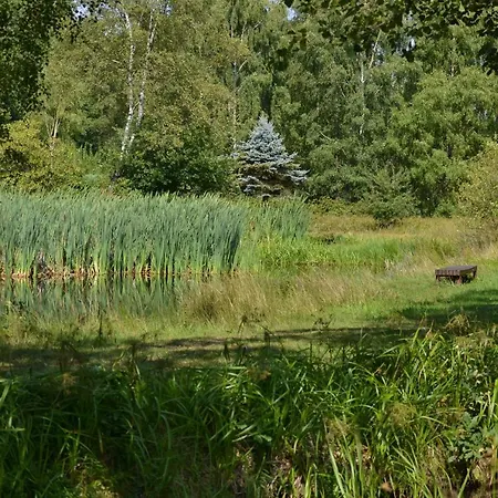 Vendégház Ferienparadies Muehlenbach