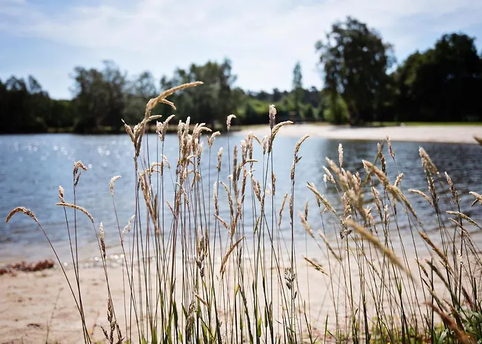 Ferienparadies Mühlenbach 3* Soltau