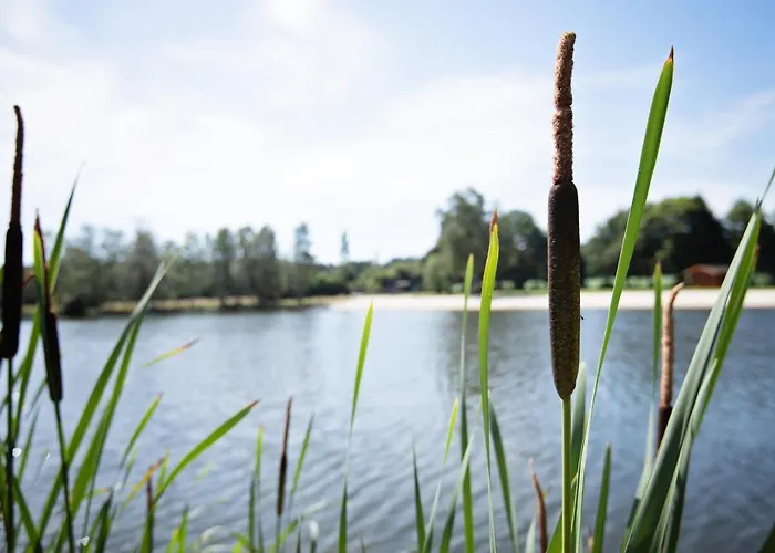 Gæstehus Ferienparadies Mühlenbach Soltau