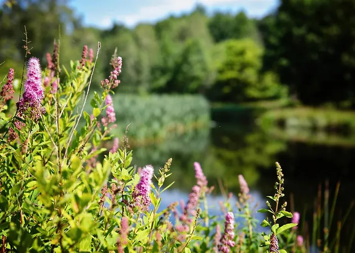 Ferienparadies Mühlenbach Soltau