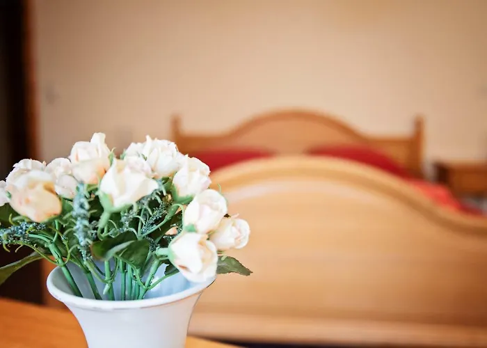 Ferienparadies Mühlenbach 3* Soltau